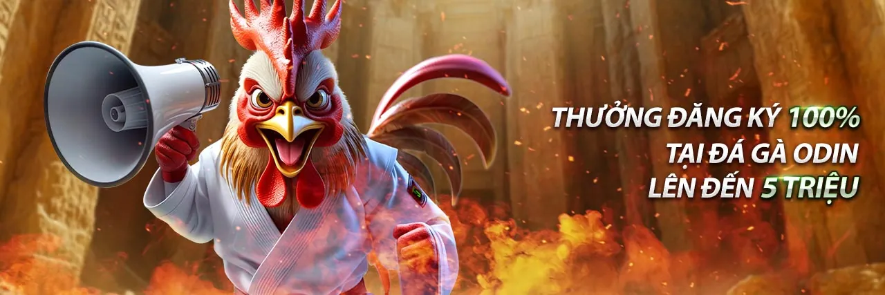 Các phương thức thanh toán an toàn tại bong 88.net